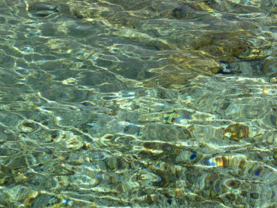 Water