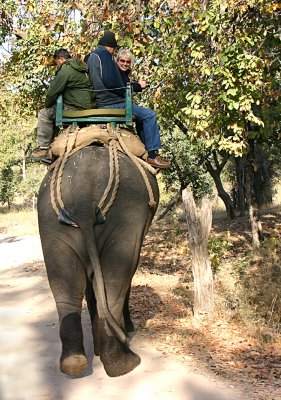 elephant ride 2.jpg