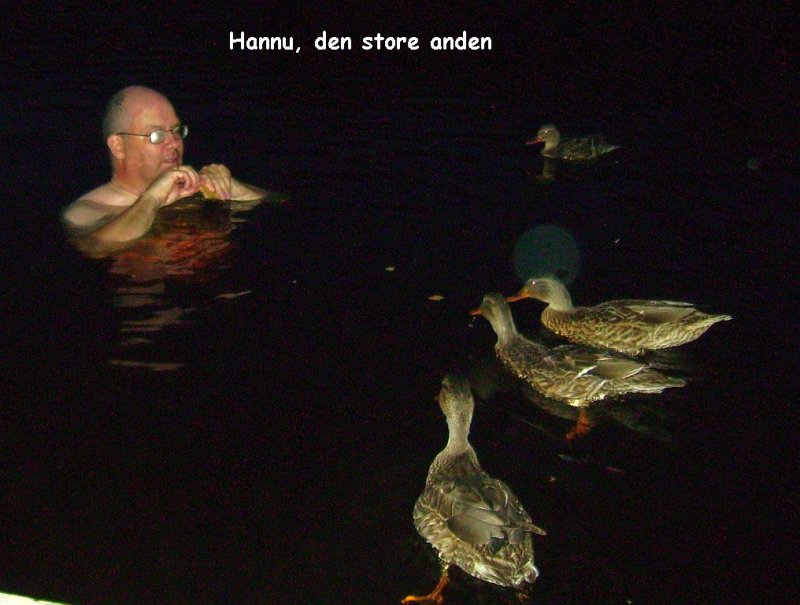 land 416 Den store anden.jpg