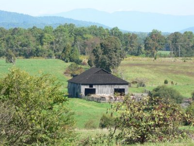A farm in Forest Virginia
