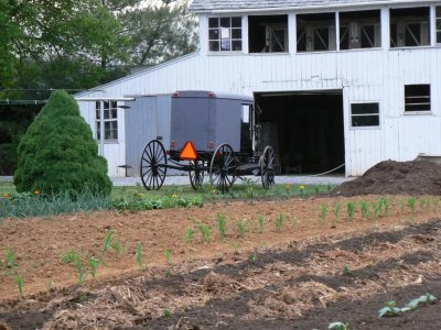 Amish farm