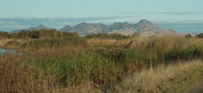 Sutter Buttes