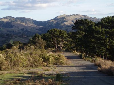 East Bay - Contra Costa and Alameda Counties