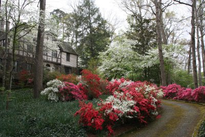 Azalea Driveway.jpg