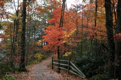 Red River Gorge