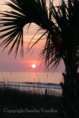 Sunrise at Litchfield