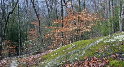 Pine Mountain in Winter