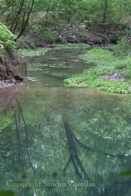 McConnell Springs