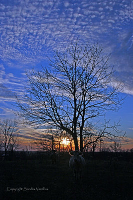 Scott County Sunset