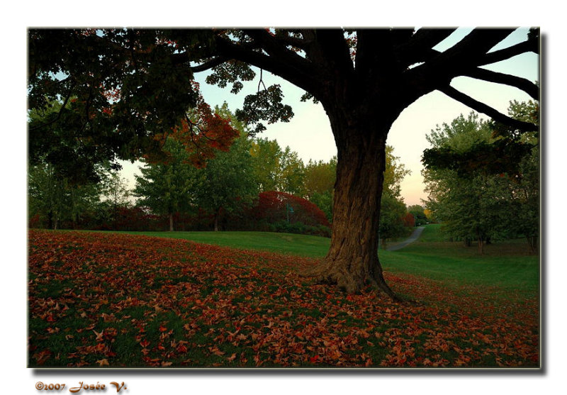 Parc de ville II