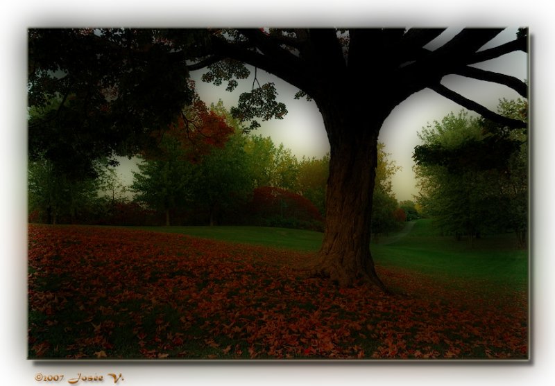 Parc de Ville II
