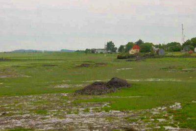 SLE AUX GRUES