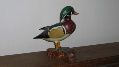 BRANCHU(wood duck)