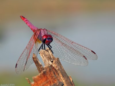 g6/44/770344/3/78373563.XzbD3ydP.jpg