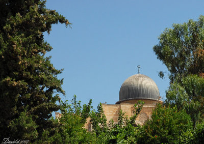 Jerusalem (3).jpg