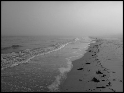 misty morning