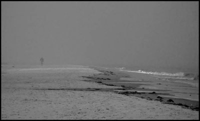 Misty_Morning