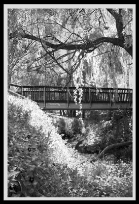 footbridge