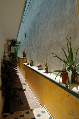Frog Alley