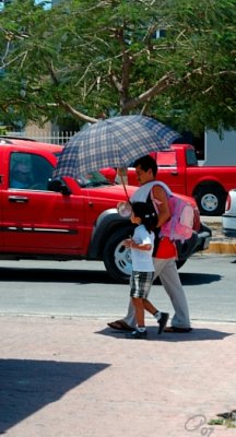 An Umbrella and Two Red Trucks