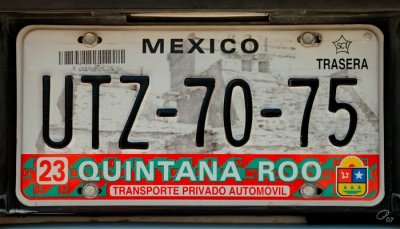 Ruined License Plate