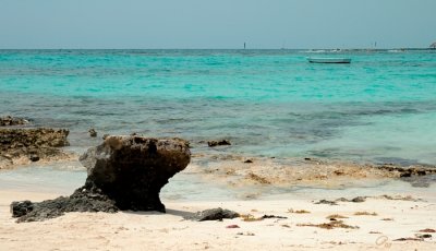 Beach Shots