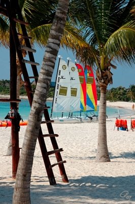 Sails