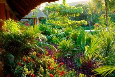 Beside the Walkway