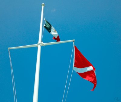 Pier Flag Pole