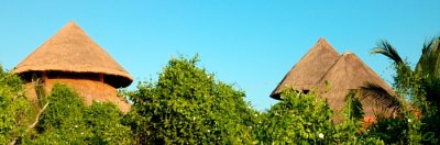 Palapa Roofs