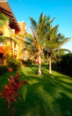 A Few from the Resort
