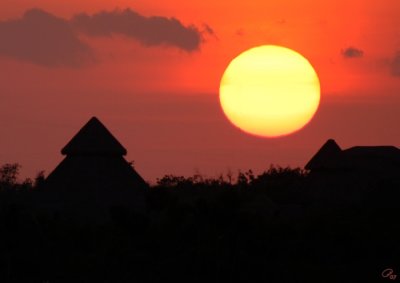 Sun and Palapas