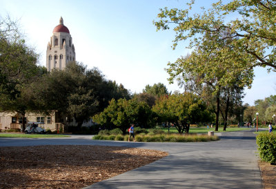 Activities At Stanford