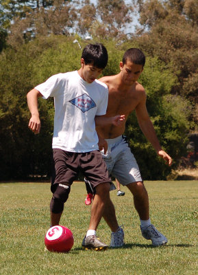 DSC_3190 A.jpg