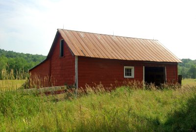 Off the Taconic Parkway