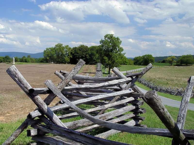 fence.jpg