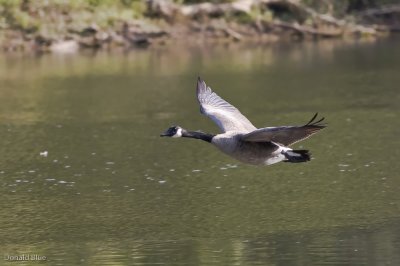 IMG_0405.jpg