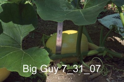 bigguy73107.jpg