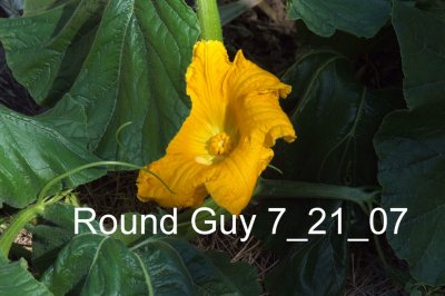 roundguy72107.jpg