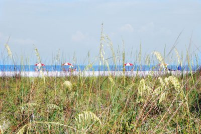 Fort DeSoto 034.jpg