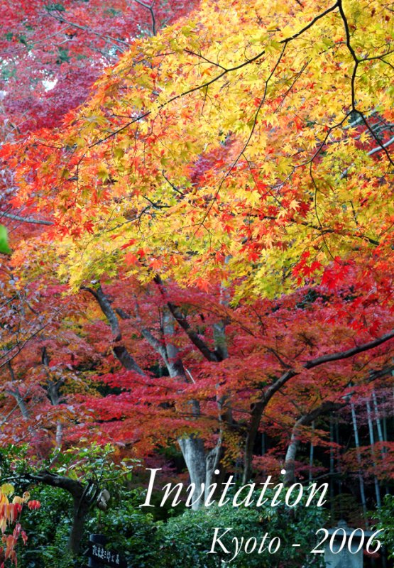 offset_3-color-trees.jpg