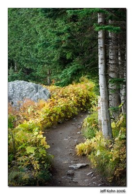 Jenny Lake Trail