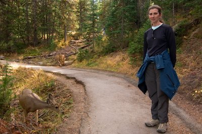 Wildlife Encounter on Uncle Tom's Trail (Yellowstone)