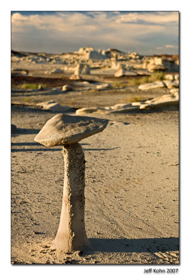 Stone Toadstool