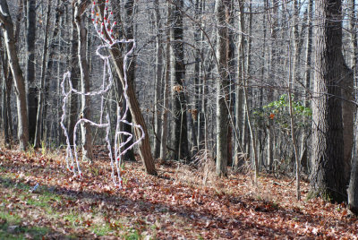 ds20061125b_0082w.jpg