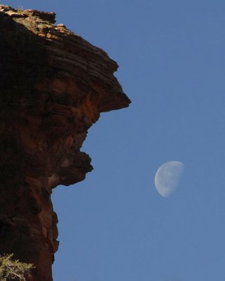 1/9/07 - Morning in Sedona<br><font size=3>ds20070109_0003a1w Sedona Moon.jpg</font>