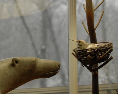 ds20070130_0034aw Bear-Bird Window 2.jpg