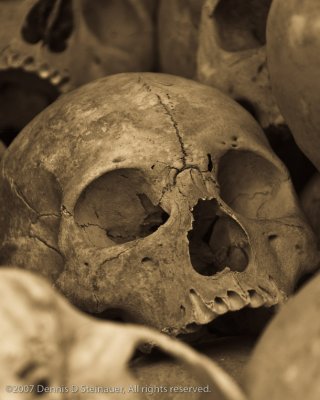 11/10/07 - Remains of the Killing Fieldsds20071110-0153-1_Skull.jpg