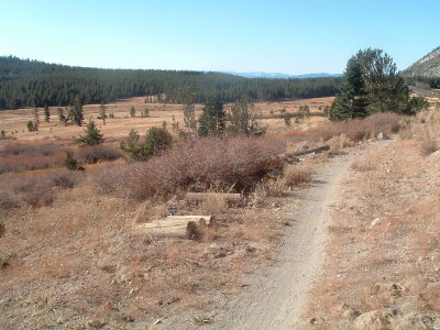The trail