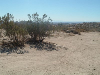 Mojave Desert